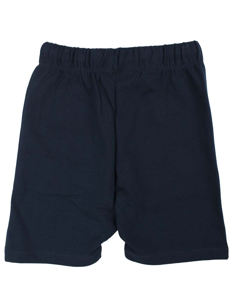 Danotter Shorts Navy