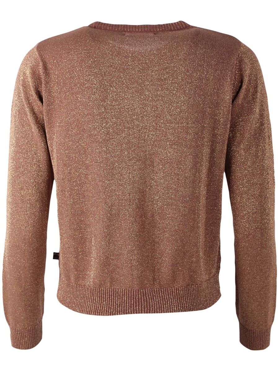 Danepearly Glitter Sweater Beige Rose w. Gold Glitter