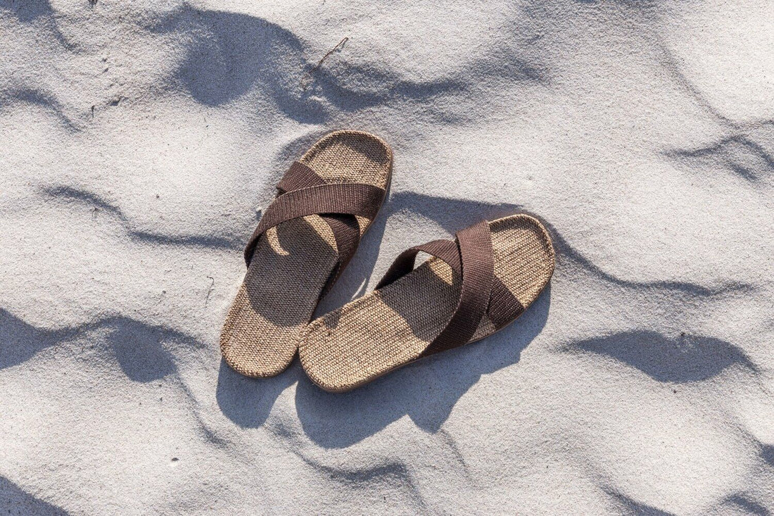 Shangies Unisex Brown Coffee