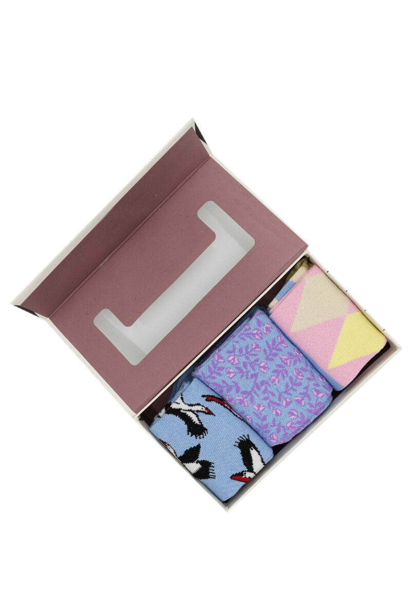 Danewalk with me Socks - Box Pastel Power