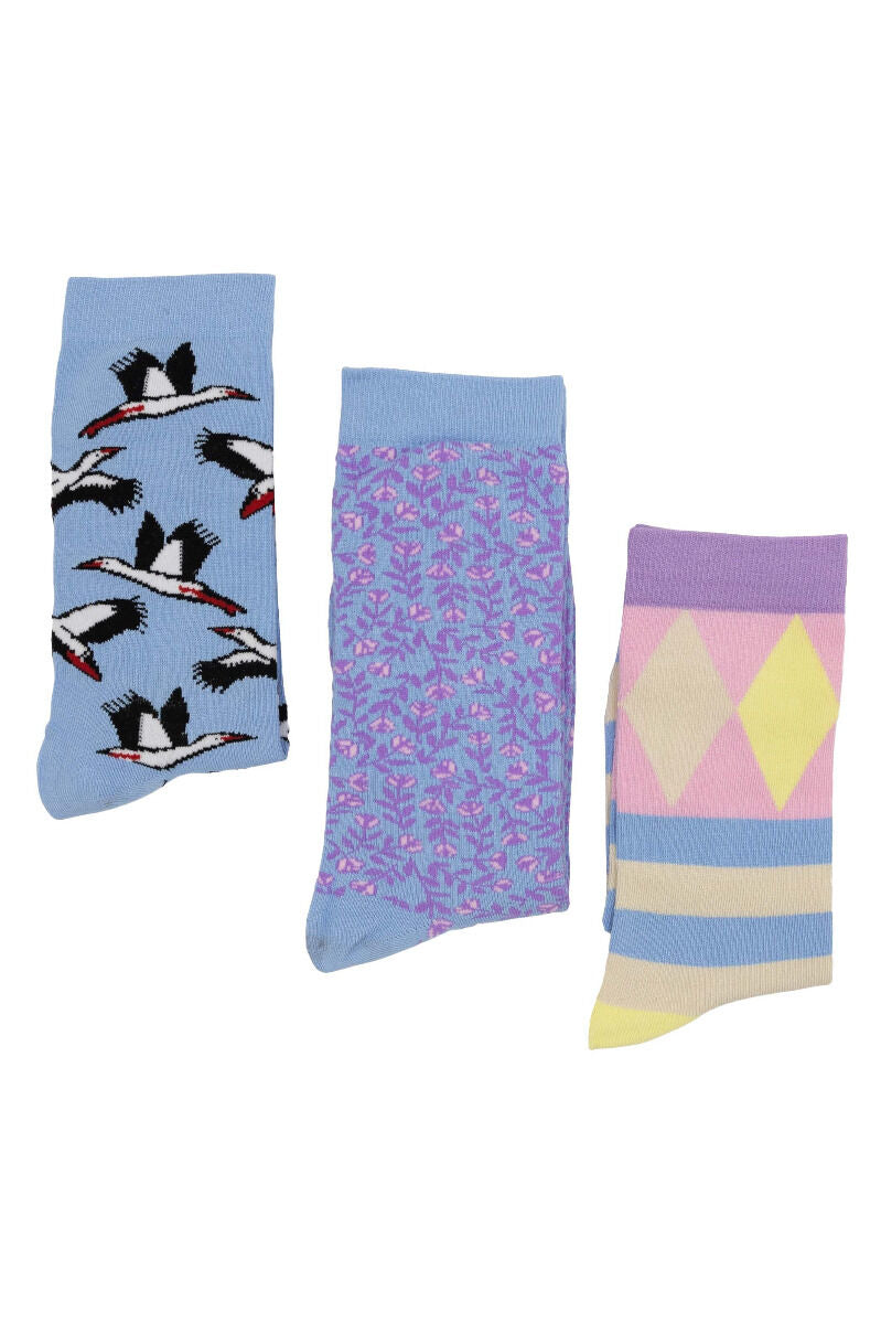 Danewalk with me Socks - Box Pastel Power