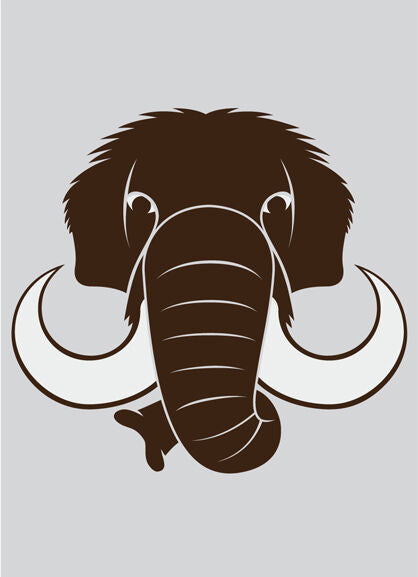 DYR Postcard Grey MAMMUT