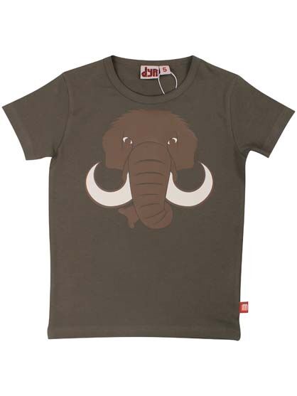 Dyrgrowl T Warm Grey MAMMUT
