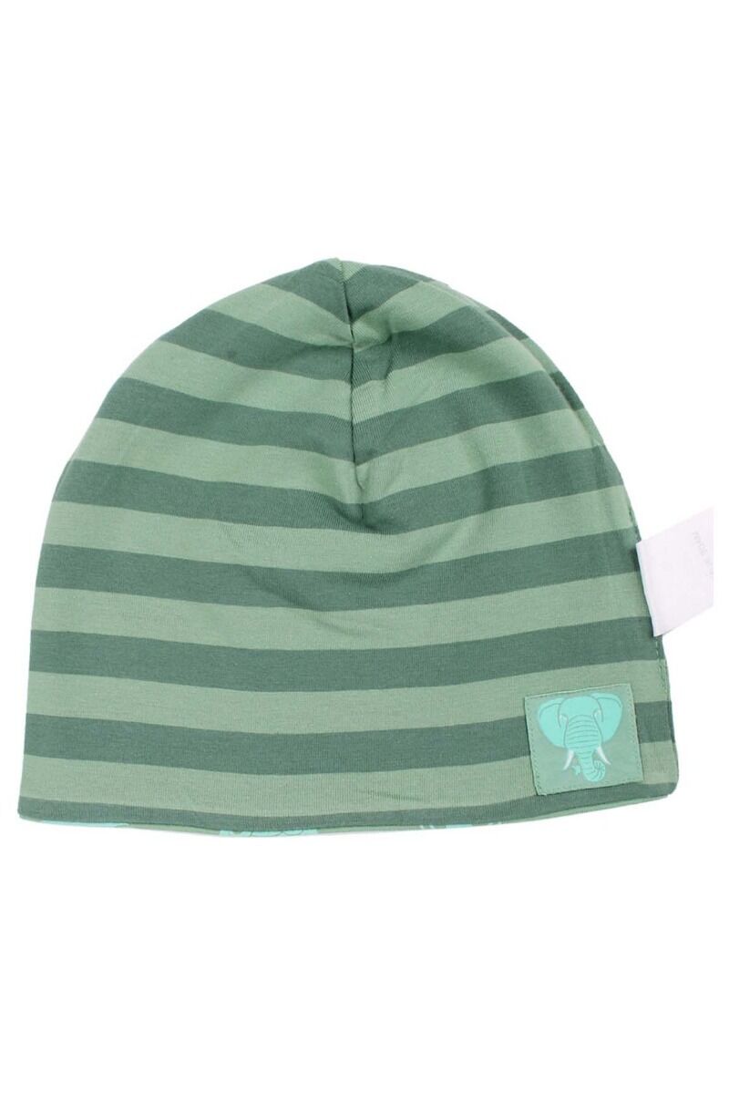 Dyrloeve Beanie Sage/Fresh Mint TYKHUDER