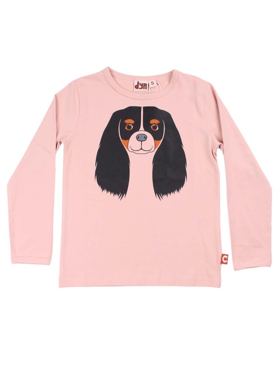 Dyrroar T Powder Rose CAVALIER
