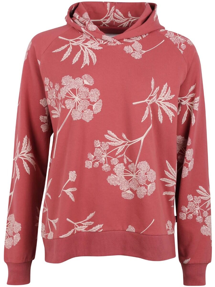 ORGANIC - Oline Hoodie Greyrose/chalk HEMLOCK
