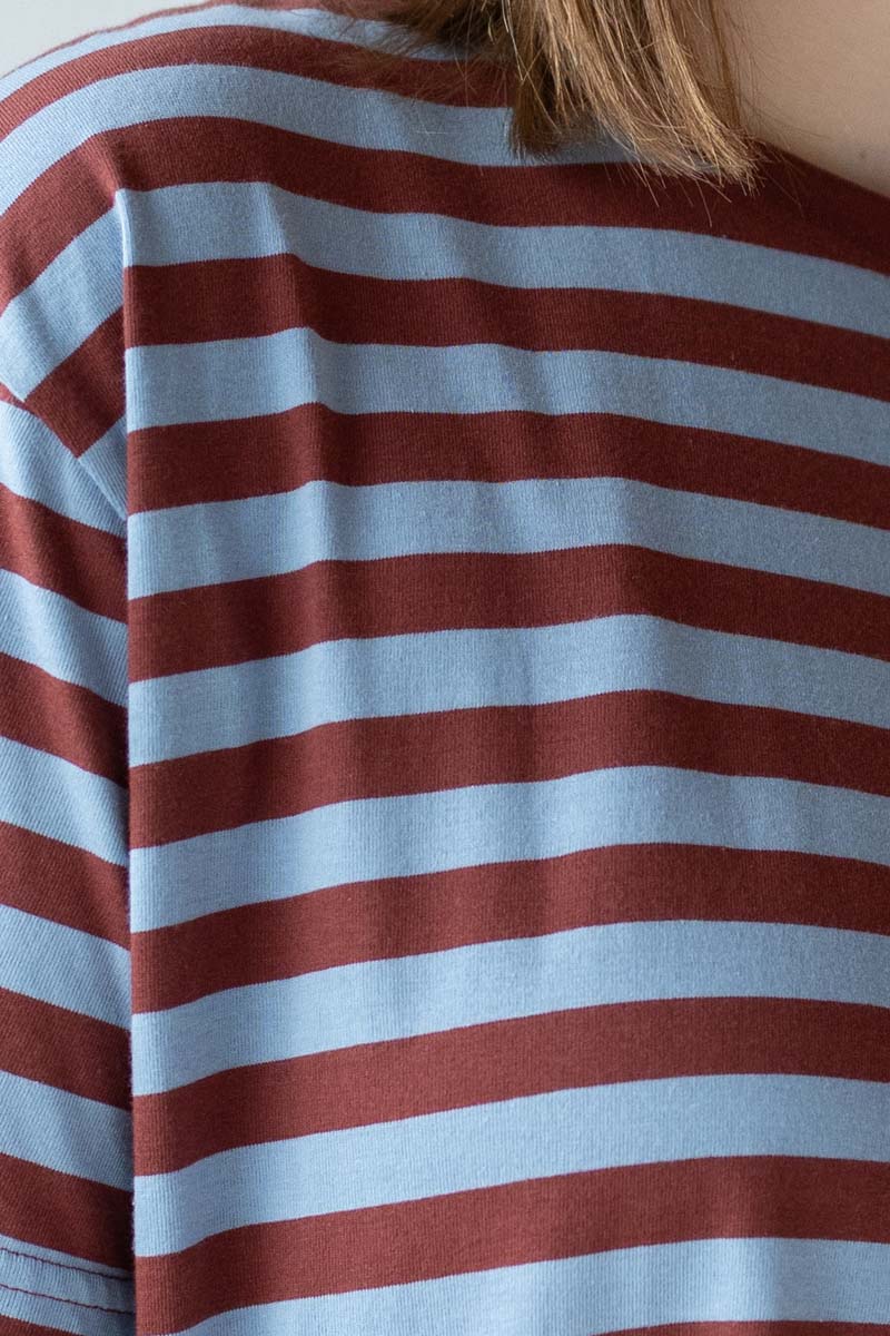 Danebasic Boxy Tee Lt Blue Grey/Dk Brick