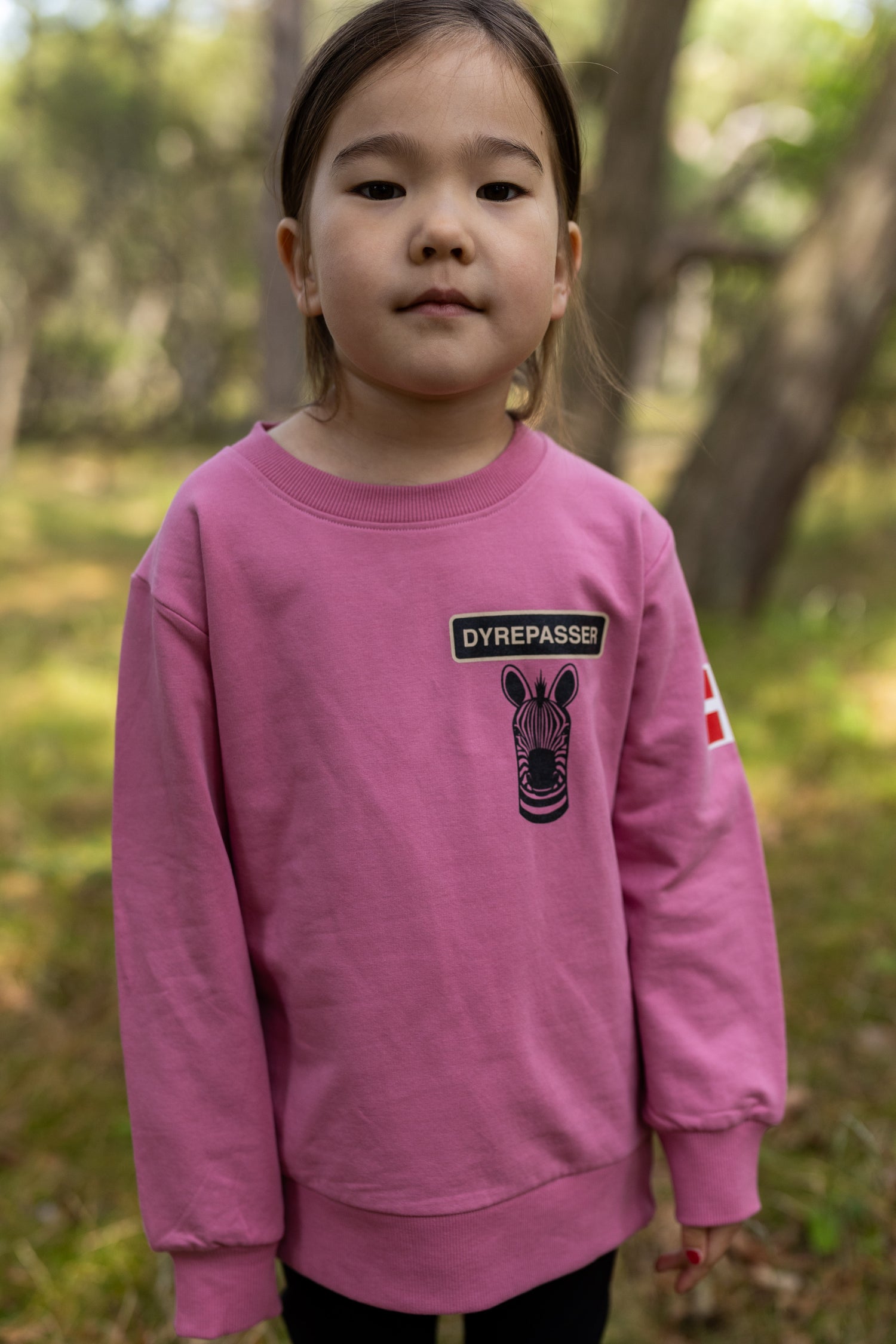 Sød dyrepasser sweatshirt til børn med print af zebra