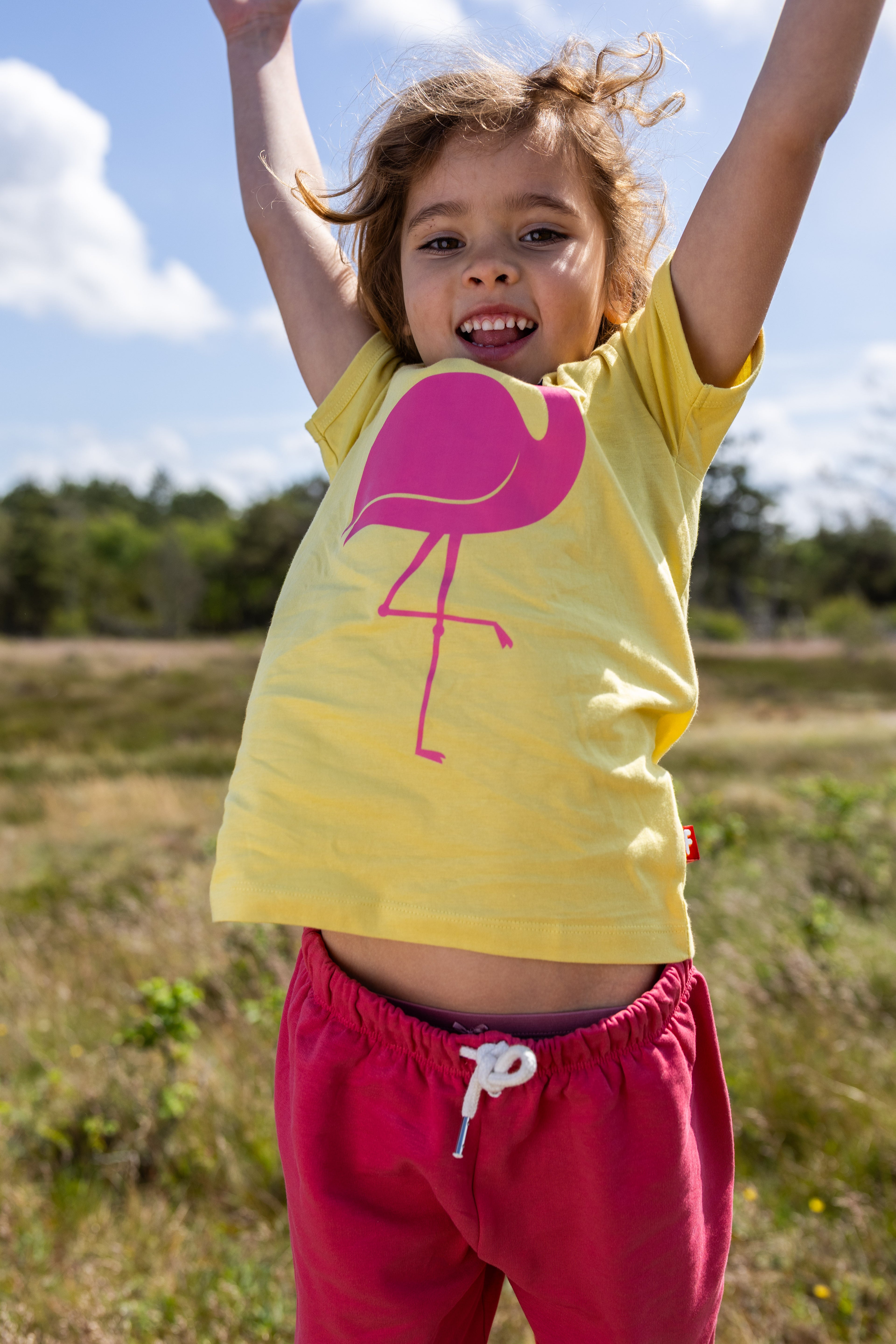 Dyrhide SS T Faded Yellow FLAMINGO