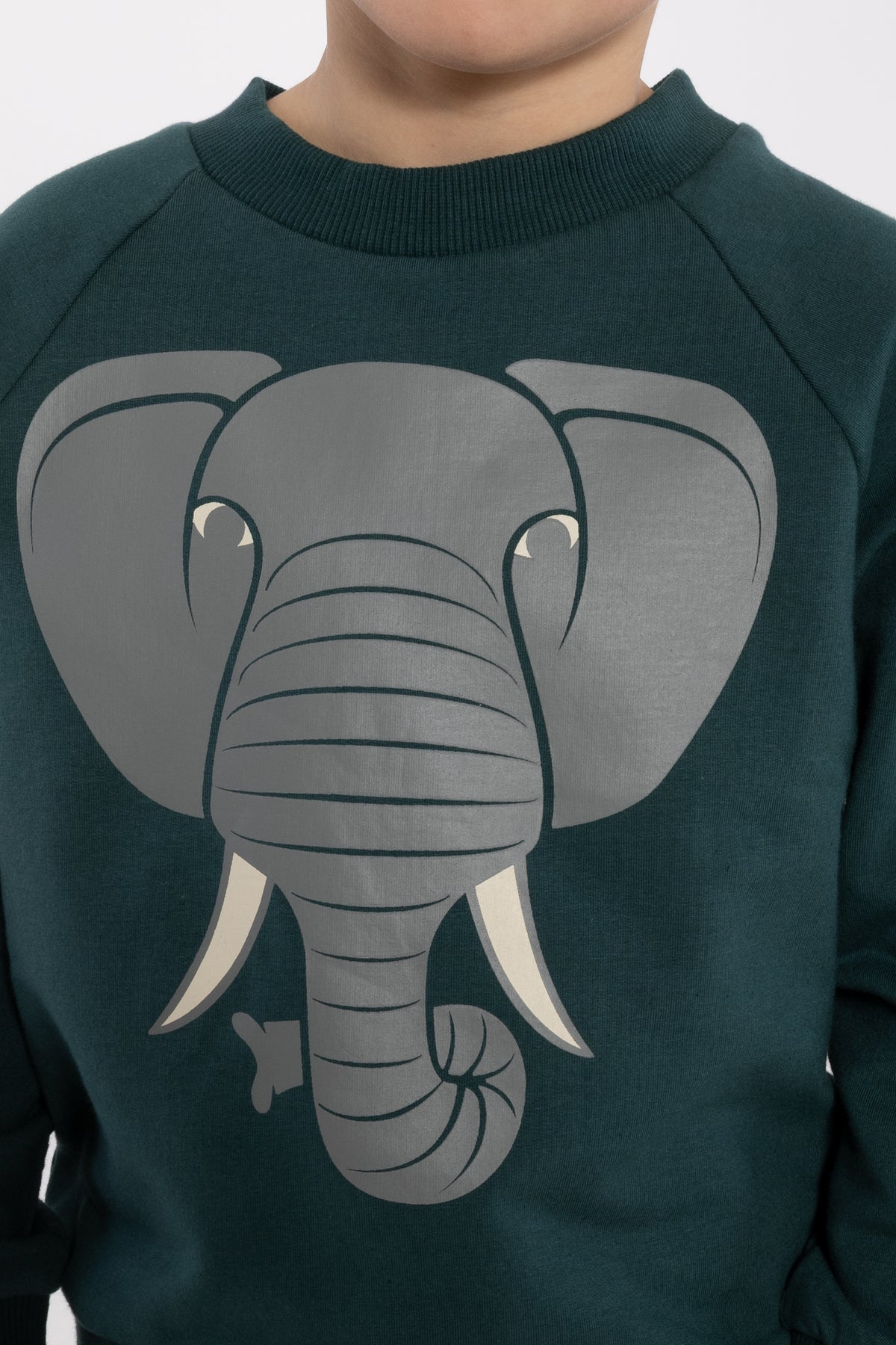 Skøn blågrøn sweatshirt til børn med print af elefant
