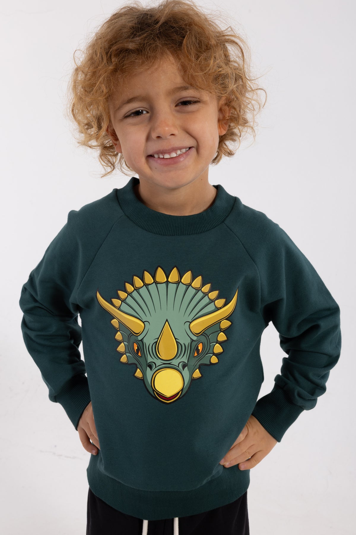 Skøn blågrøn sweatshirt til børn med print af triceratops