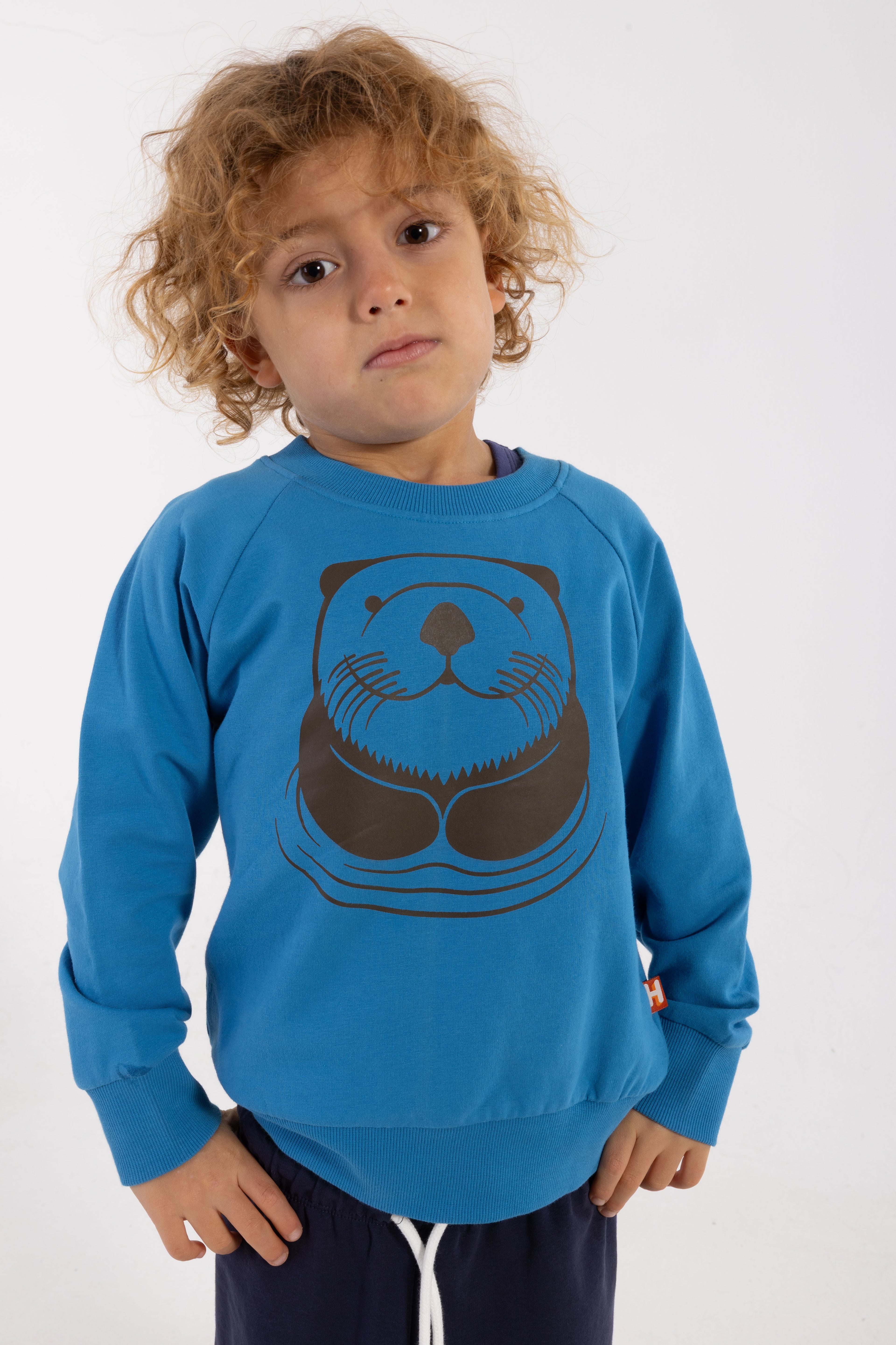 Skøn blå sweatshirt til børn med print af havodder