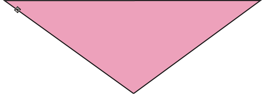 ESS - Danemarian Merino Scarf Rose