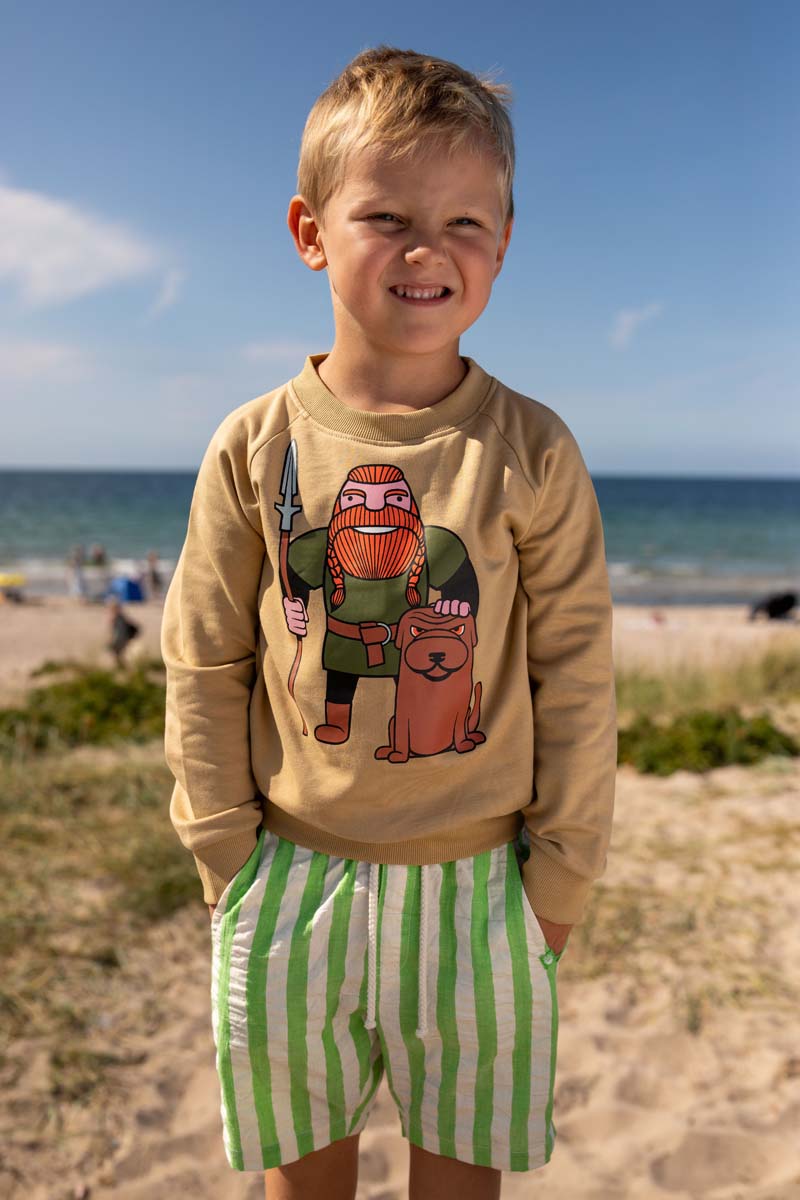 sweater til børn med viking og hund