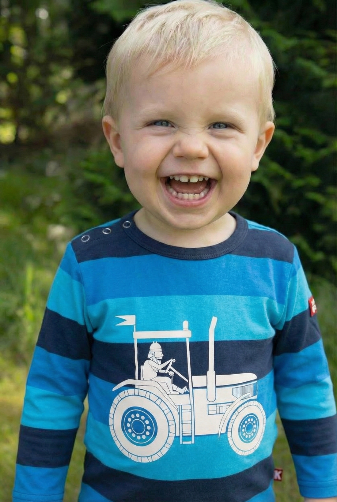 ORGANIC - Daneparsley LS Northsea TRAKTHOR