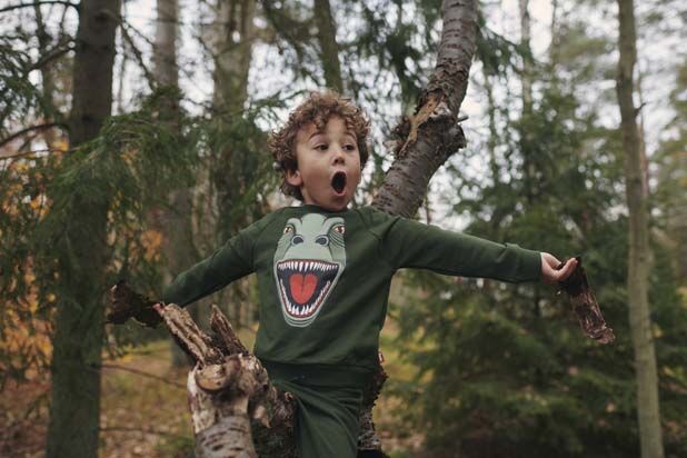 Skøn sweatshirt til børn med print af t-rex dinosaur
