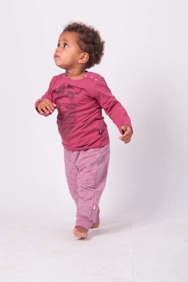 ORGANIC - Daneparsley LS Hortensia FREJA