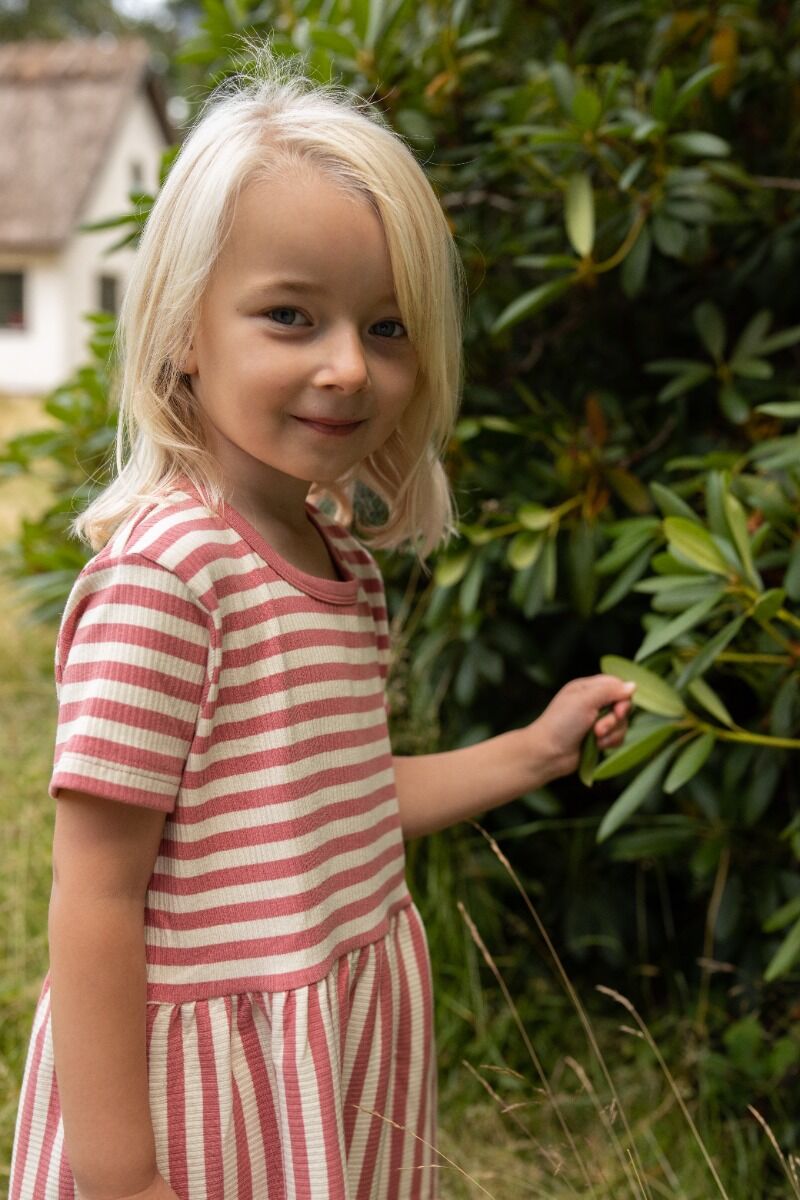 ESS - Daneslurpy Dress Old Rose/Chalk