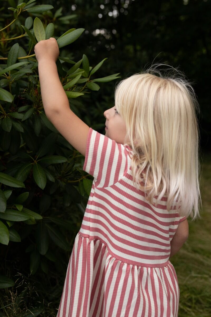 ESS - Daneslurpy Dress Old Rose/Chalk