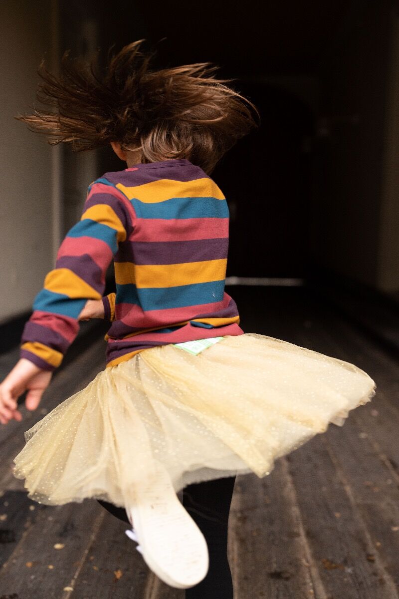 Danesparkle Skirt Gold Glitter