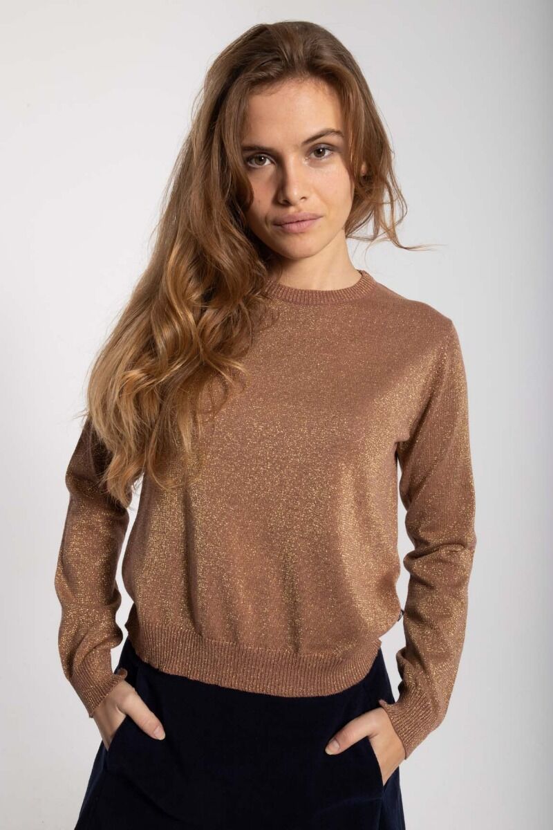 Danepearly Glitter Sweater Beige Rose w. Gold Glitter