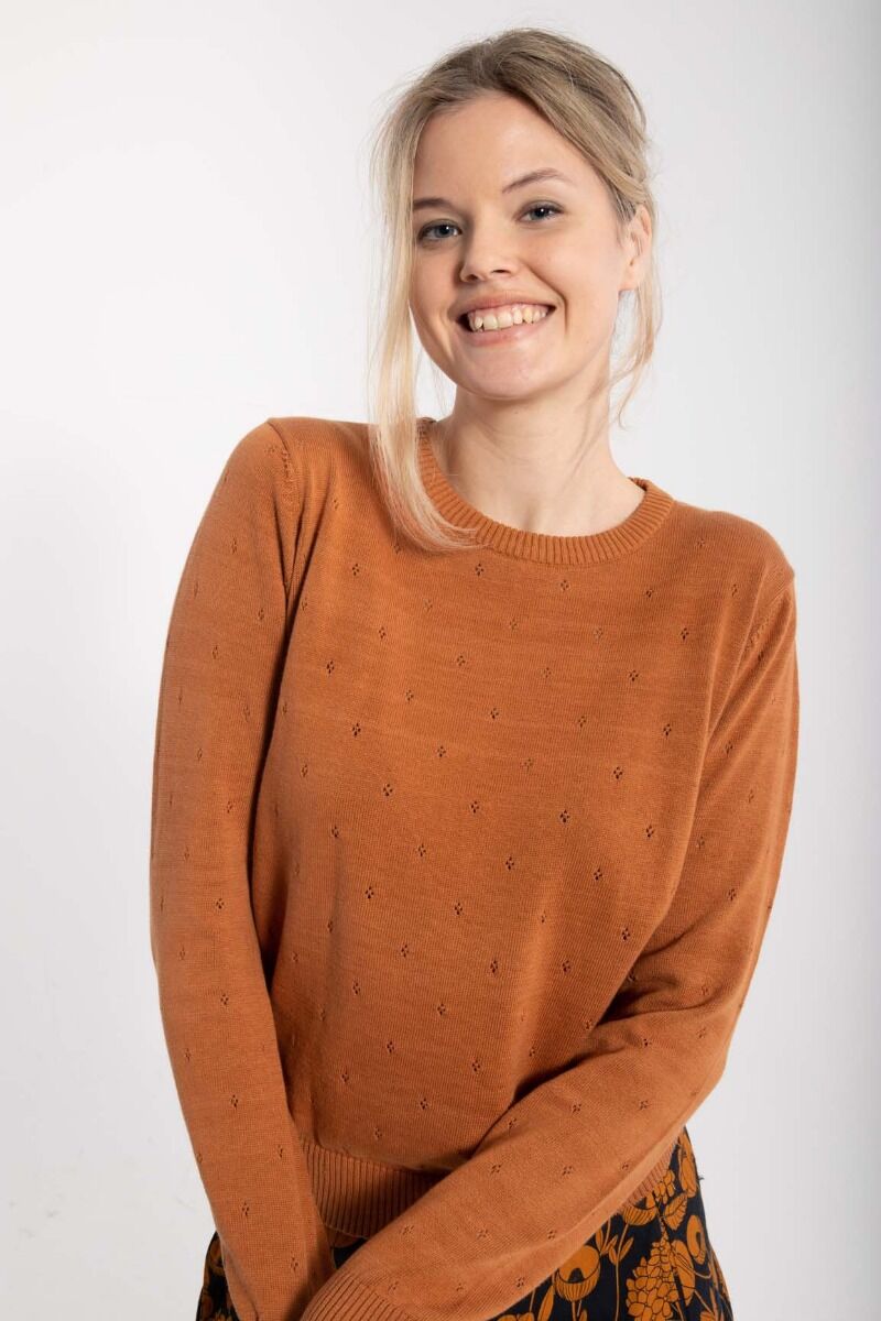 Danepearly Hole Knit Sweater Occer