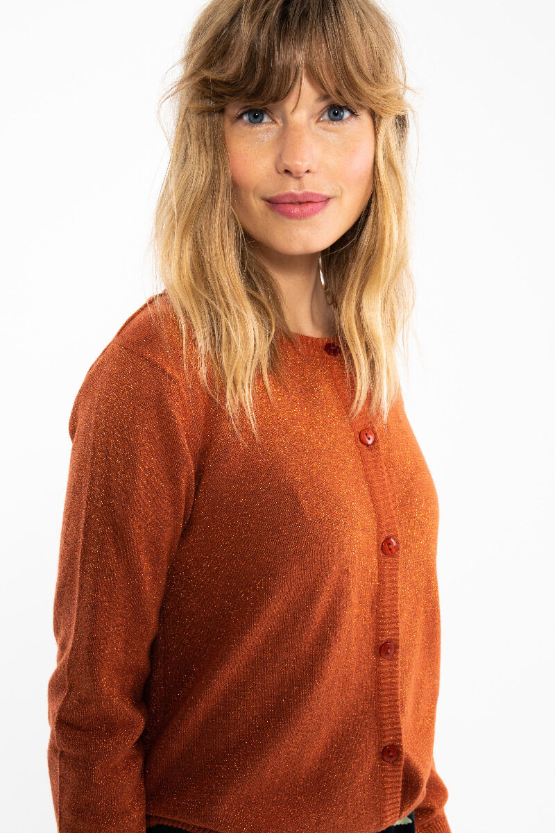 Danesaga Glitter Cardigan Rust GLITTER