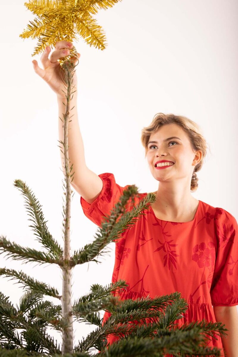 Danejuli Dress Xmas red HEMLOCK