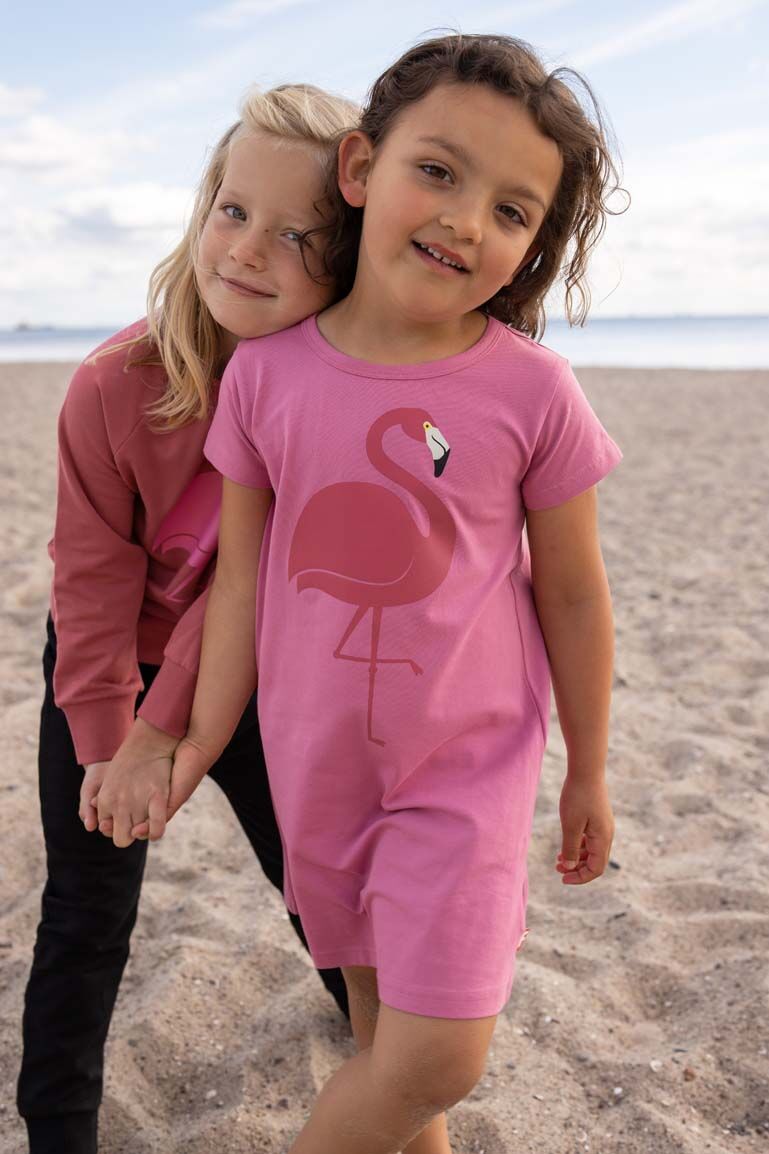 Dyrloud Dress Old rose FLAMINGO