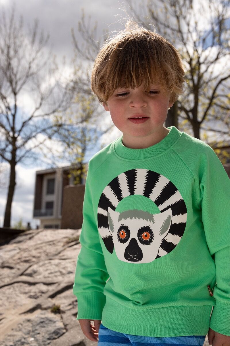 Sweater til Børn med Lemur