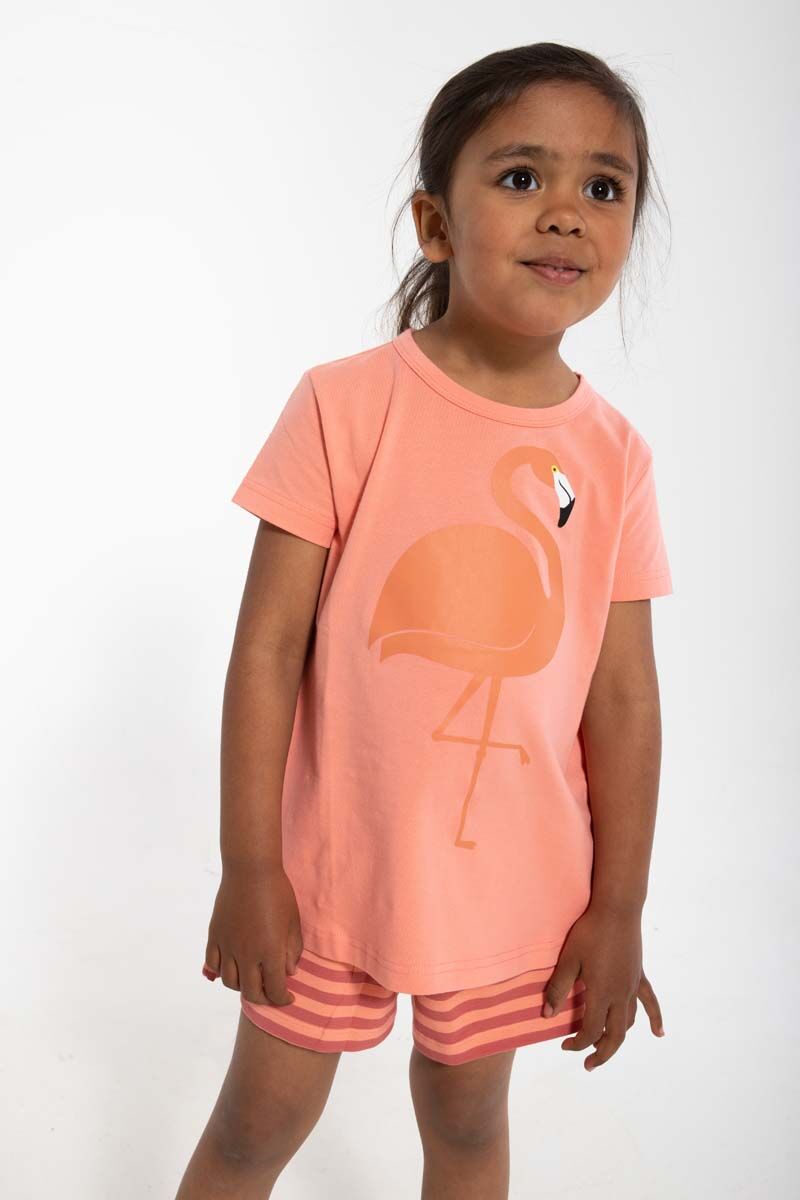 Dyrwildlife T Coral FLAMINGO
