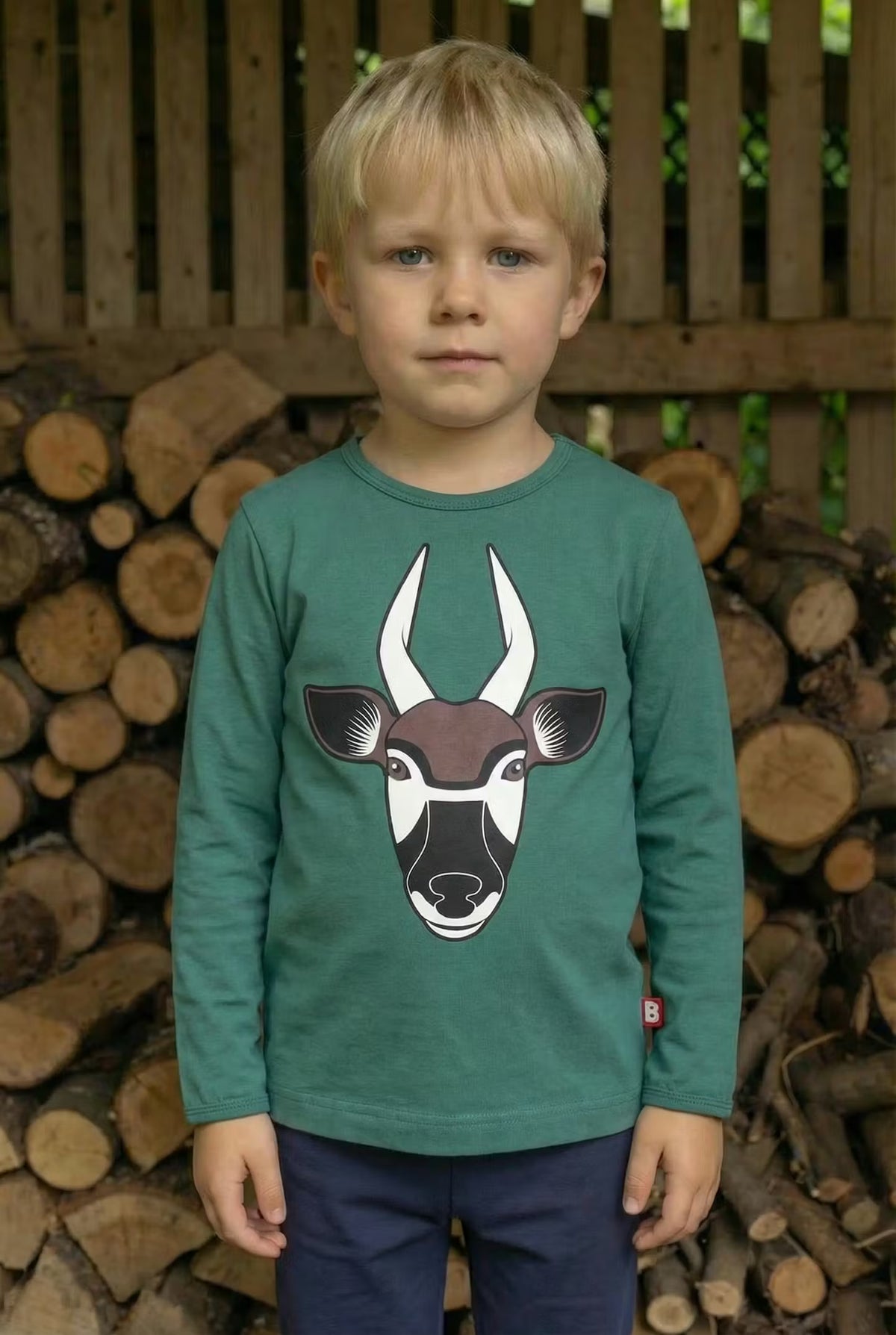 Dyrroar T Dark Pine BONGO ANTILOPE