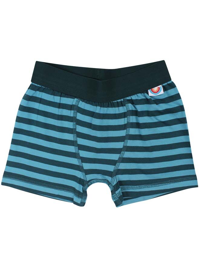 BIFROST - 2Pak Underwear Boys Dark Duck/Aqua Ice