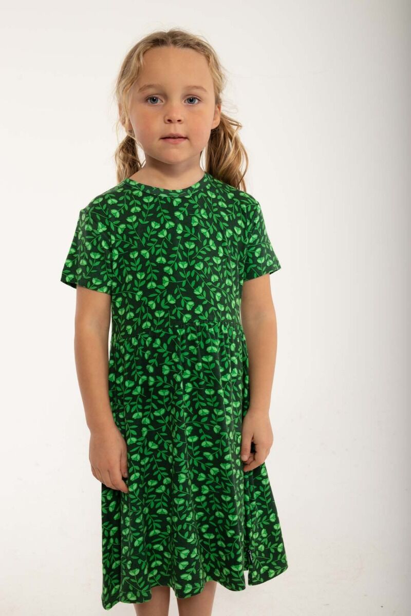 Danelollipop Dress SS Green FLEURIE
