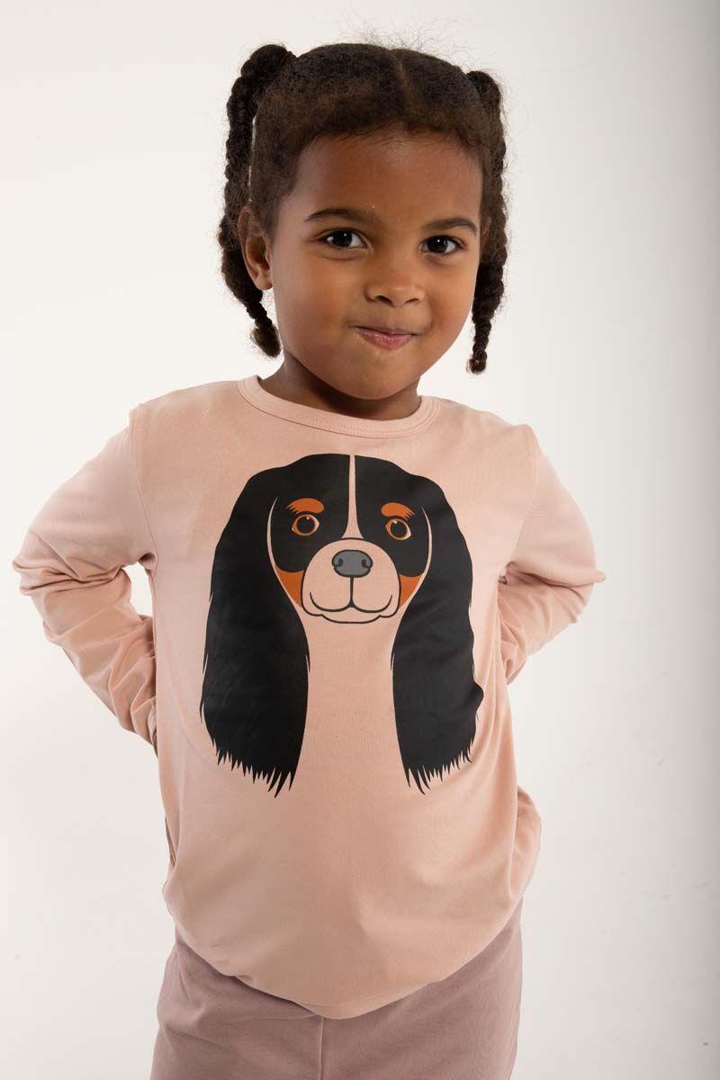 Dyrroar T Powder Rose CAVALIER