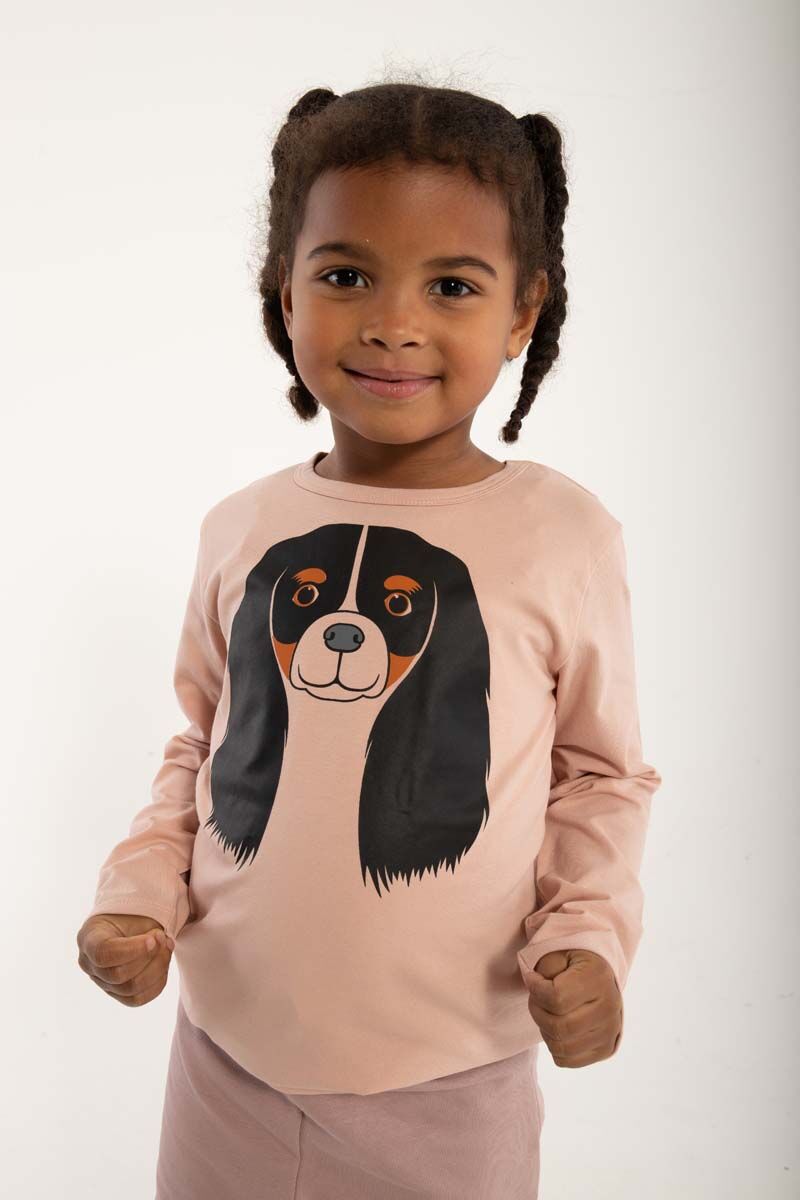Dyrroar T Powder Rose CAVALIER