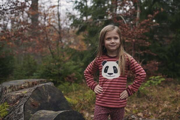 Dyrroar T Rosebush PANDA