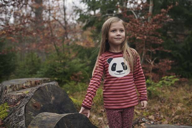 Dyrroar T Rosebush PANDA