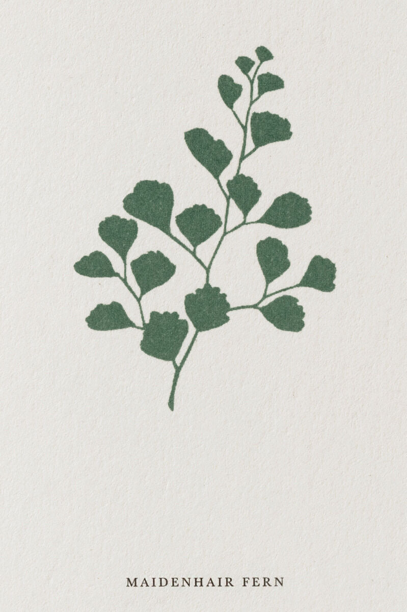 Kartotek Kort-A6 Fern