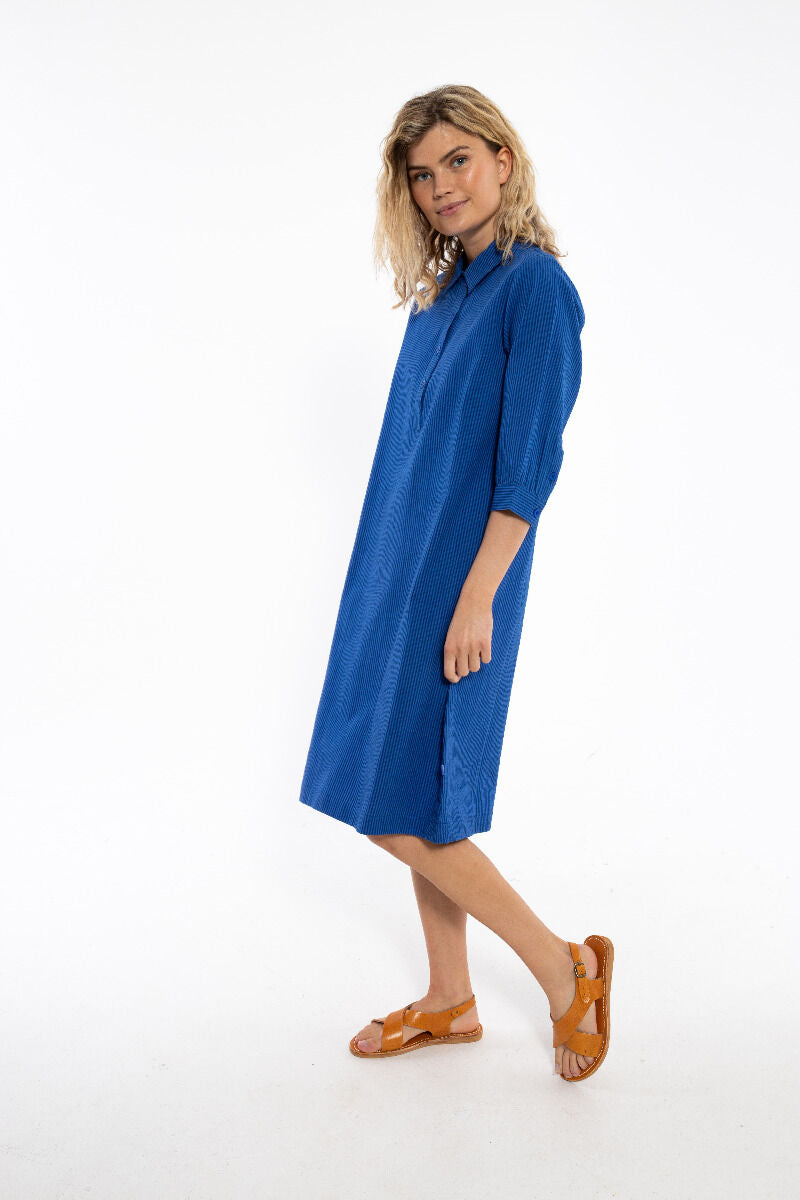 Danecarnation Seersucker Dress Deep Marine/Klein Blue