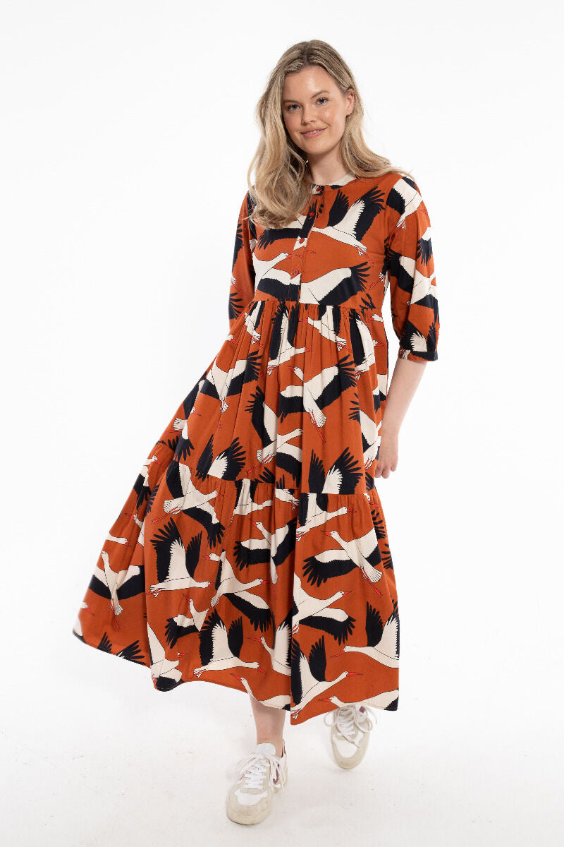 Danegoodie dress Rust BIG STORK