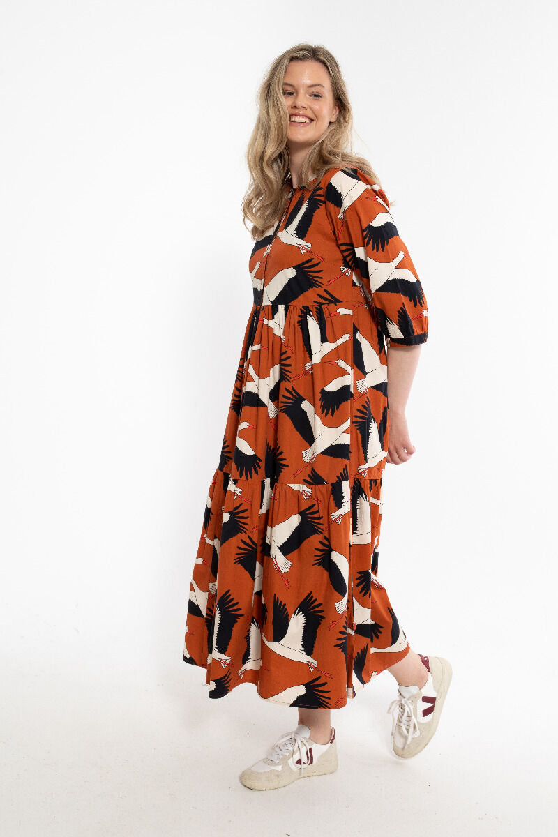 Danegoodie dress Rust BIG STORK