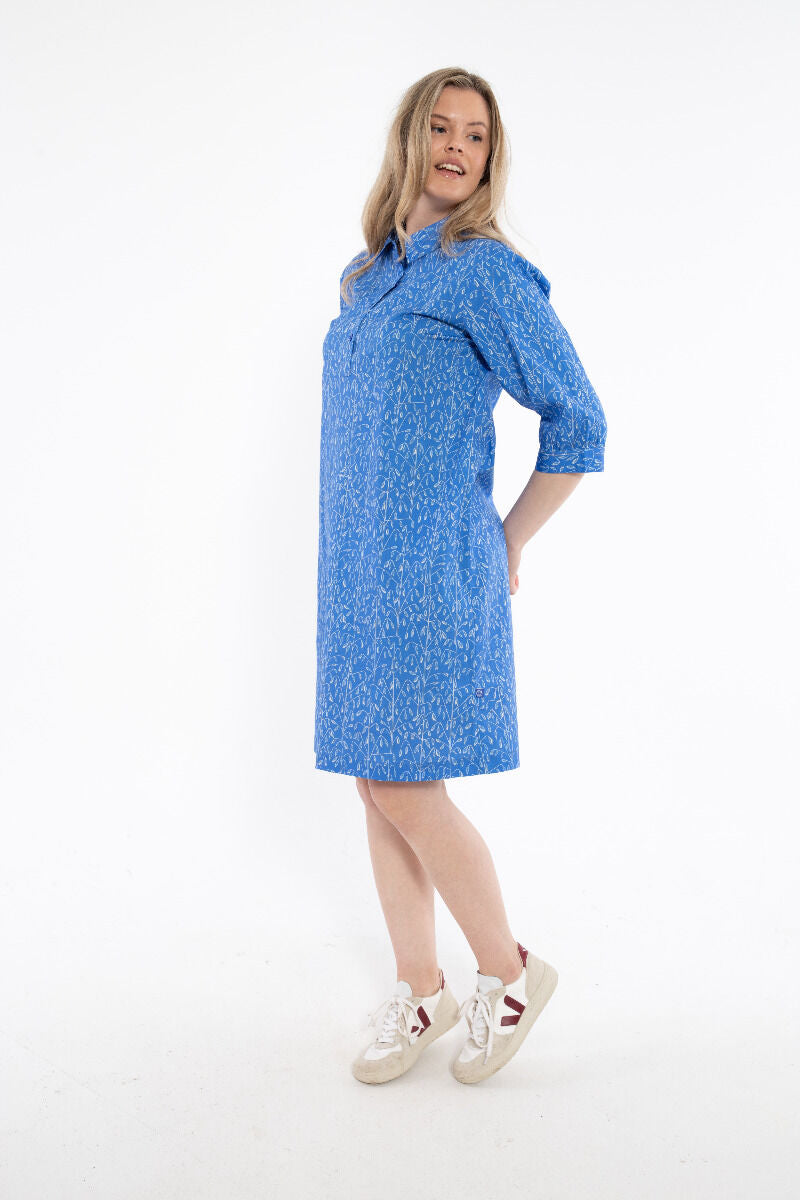 Danecarnation Poplin Dress Cold Blue/Chalk OATS