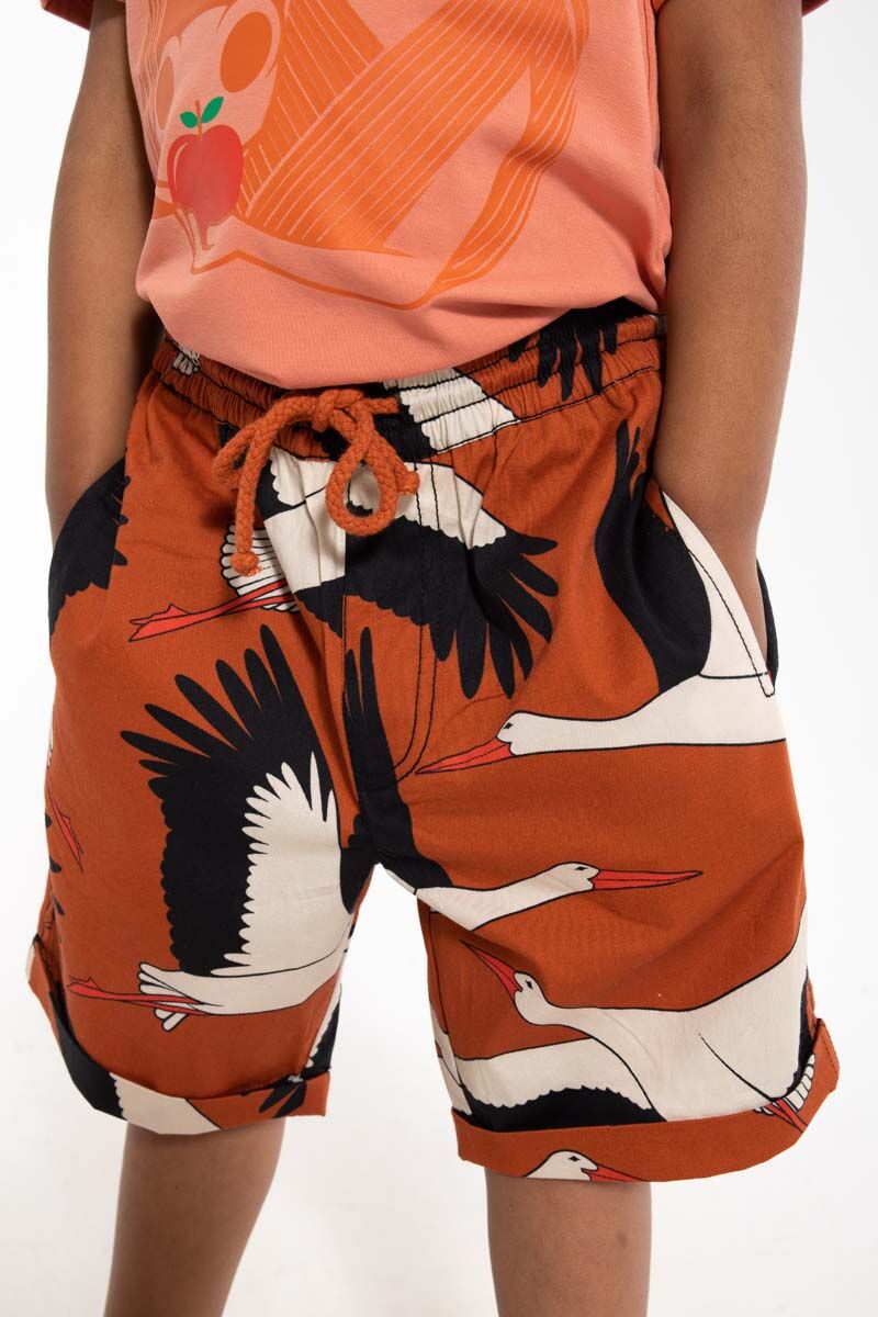 Danalfred Poplin Shorts Rust BIG STORK