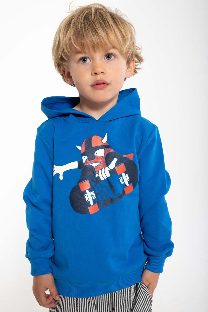 Daneredwood Hoodie Blue SHREDVIK