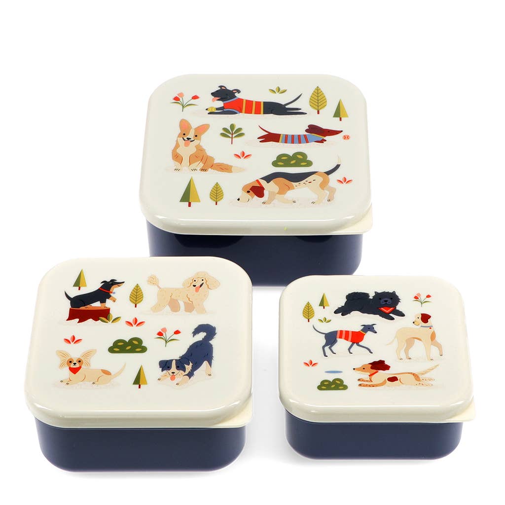 Rex Snack boxes (set of 3) Dog Park