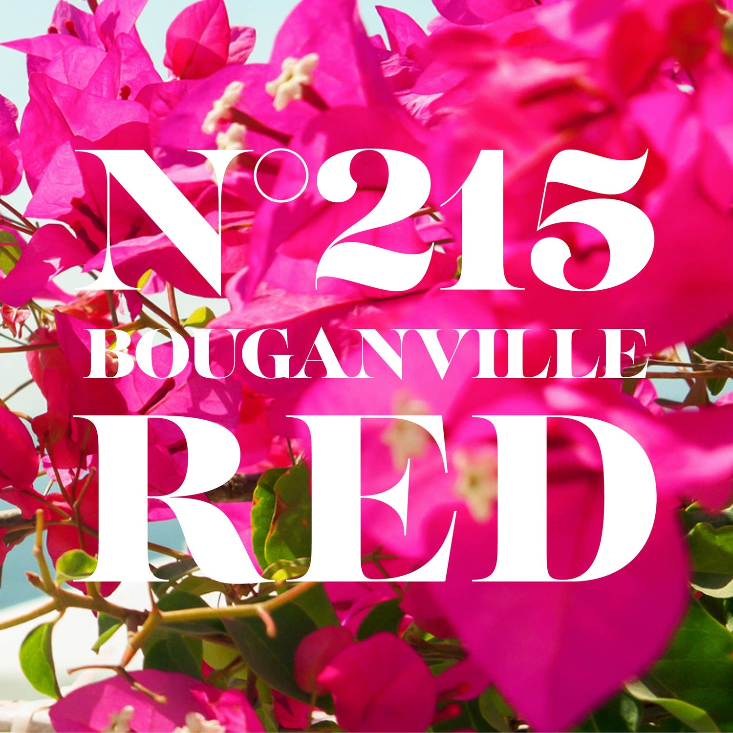 DAERMA Bouganville Red Nail Polish No. 215