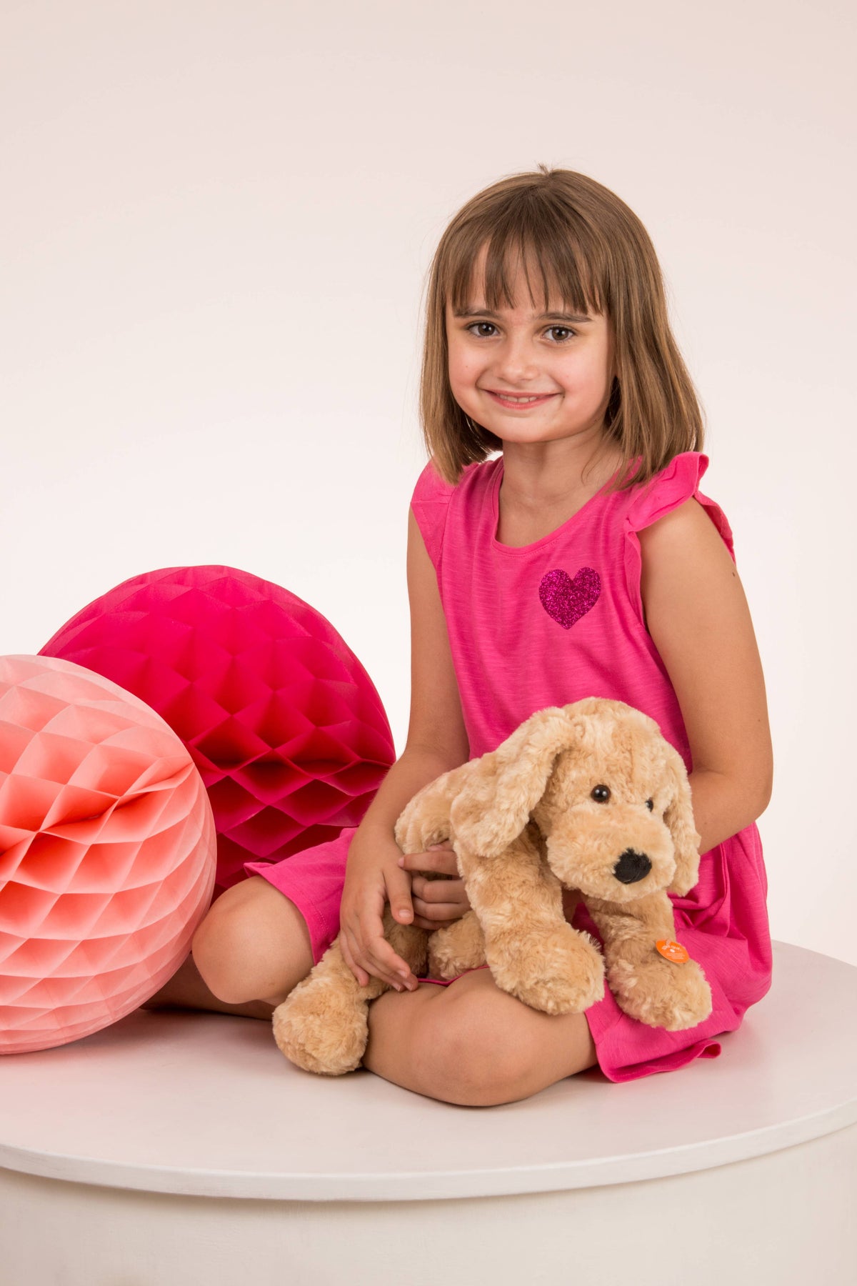 hund bamse Teddy hermann
