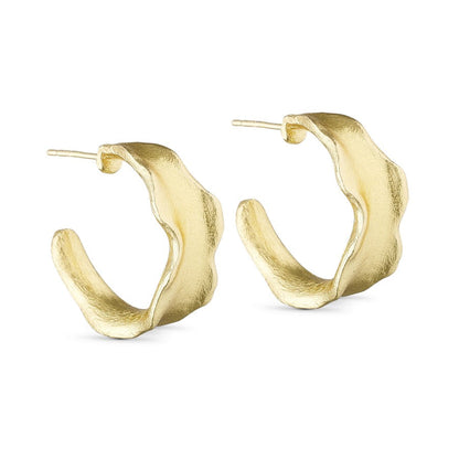 Wide Hoop Earrings Goldplated