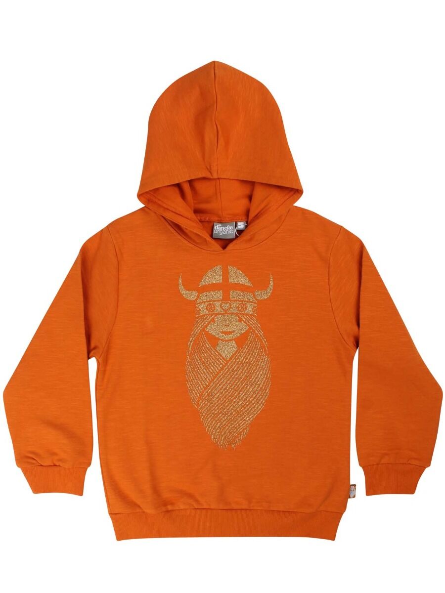 Hættetrøje til børn med viking 
